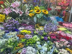 -曲阳花鸟市场(曲阳路店)