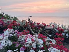 -养马岛旅游度假区