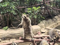 -长鹿旅游休博园