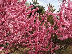 -长春公园(普阳街道)