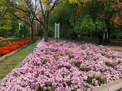 -黑龙江省森林植物园