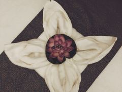 -OMSPA(盛景尚峰店)