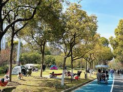 -上海吴淞炮台湾国家湿地公园