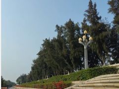 -宝安西湾红树林湿地公园