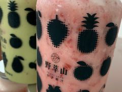 -野萃山·潮汕厚果汁(十亩地店)
