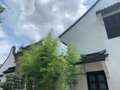 -上海醉白池公园
