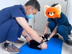 -派美特宠物医院·核磁CT·骨科肿瘤·疑难转诊(沈农禾丰店)