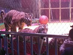 -西安秦岭野生动物园