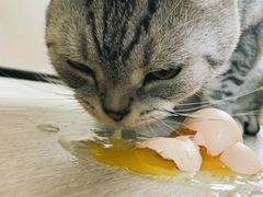 -盒马鲜生(大行宫店)