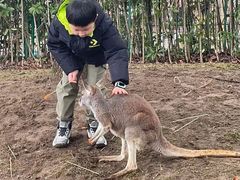 -南京汤山紫清湖生态旅游温泉度假区