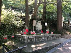 -有栖山 清光院 清水寺