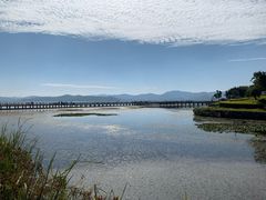 -异龙湖万亩荷花园