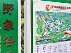 -野象谷景区