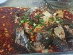 -风鑫铃罗非鱼(道沟店)