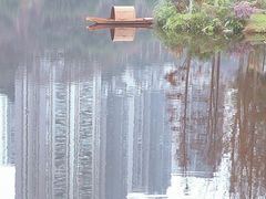 -重庆彩云湖湿地公园