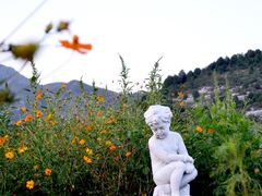 -北京东方普罗旺斯薰衣草庄园