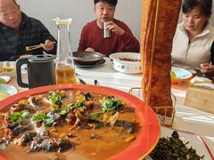 -向外鱼乐·土菜·虹鳟鱼