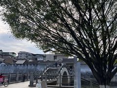 -中国客家博物馆