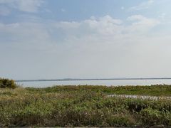 -七的湖·晚芳亭·阳澄湖农家菜·大闸蟹(莲花岛店)
