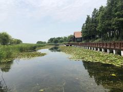 -太湖湖滨国家湿地公园-停车场