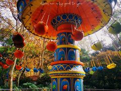 -上海共青森林公园