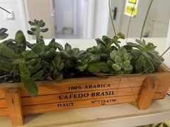 -紫瑞中医馆·养生推拿·中式筋膜(龙华店)