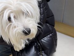 -美联众合动物医院·24h转诊中心