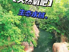 -阿酋湾水上乐园