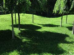 -丁香湖公园