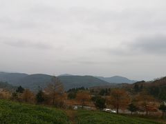 -东白山