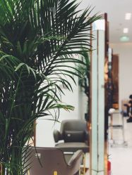 大厅-3AM HAIR SALON烫发染发接发