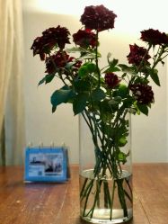 -无界瑜伽普拉提