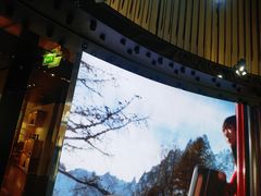 -路易·威登(香榭丽舍大道店)