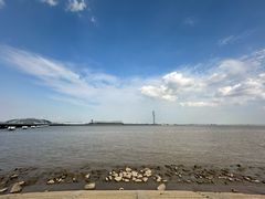 -上海吴淞炮台湾国家湿地公园