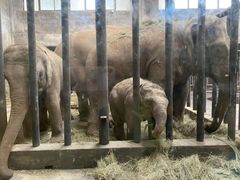 -石家庄市动物园