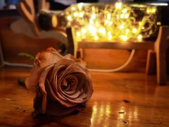 -参差咖啡(水果湖公园店)