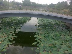 -水绘园