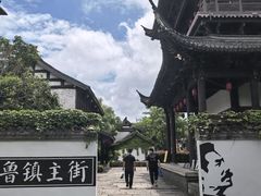 -鲁镇