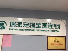 -瑞派动物医院·绝育·犬猫全科·预防医学(光景江南中店)