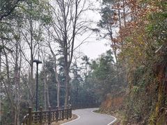 -青龙山国家森林公园