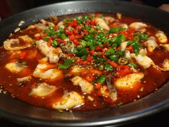 激情鱼蛙恋-成都娃娃花园餐厅 (南艺旗舰店)