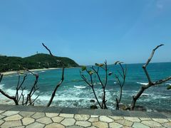 -日落吧·海景咖啡厅·餐酒吧·鸡尾酒·下午茶·乐队表演·浪漫夕阳·三亚文华东方酒店