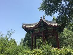 -北京麋鹿生态实验中心
