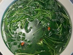 -醉庐·新上海菜(南京西路店)