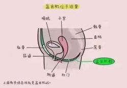 -芭贝诺产后修复(石芽岭花城店)