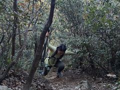 -午潮山国家森林公园