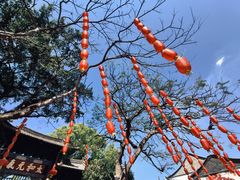 -建水文庙
