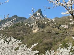-高岚大峡谷旅游度假区