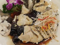 -博雅渔港·融合菜(维也纳国际大酒店)
