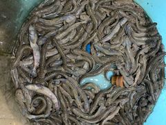 -美乐食街(小南店)